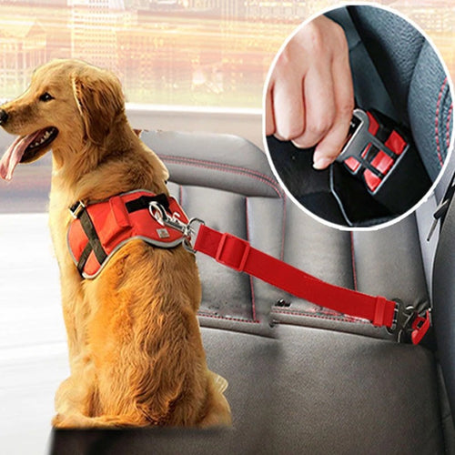 Adjustable pet car tether