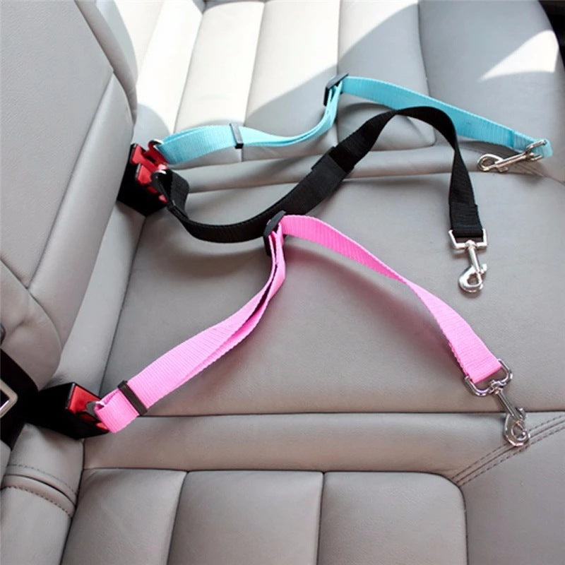 Pet car tether buckle and swivel clip