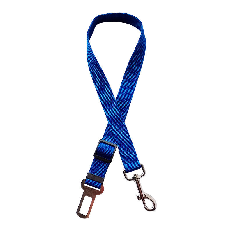 Pet car tether attached to a harness