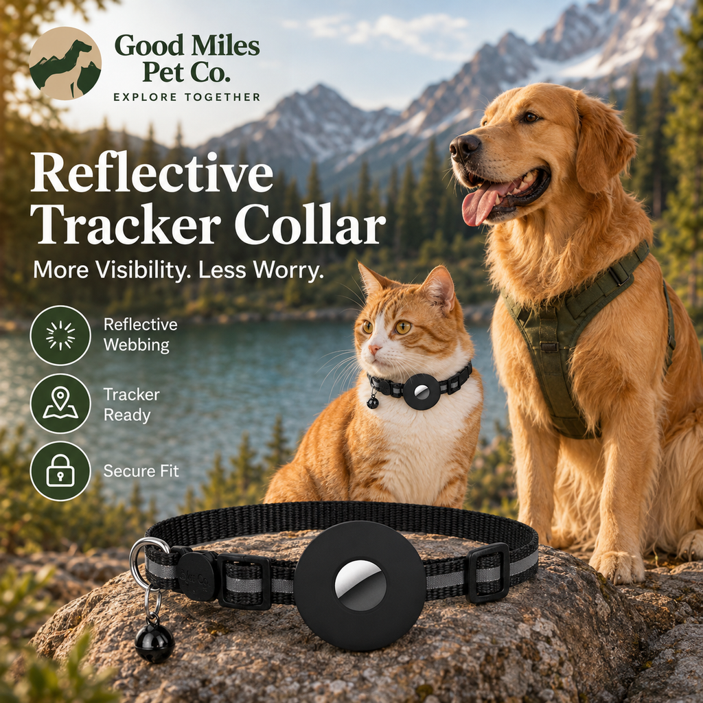 Good Miles Reflective Tracker Collar on an orange cat outdoors