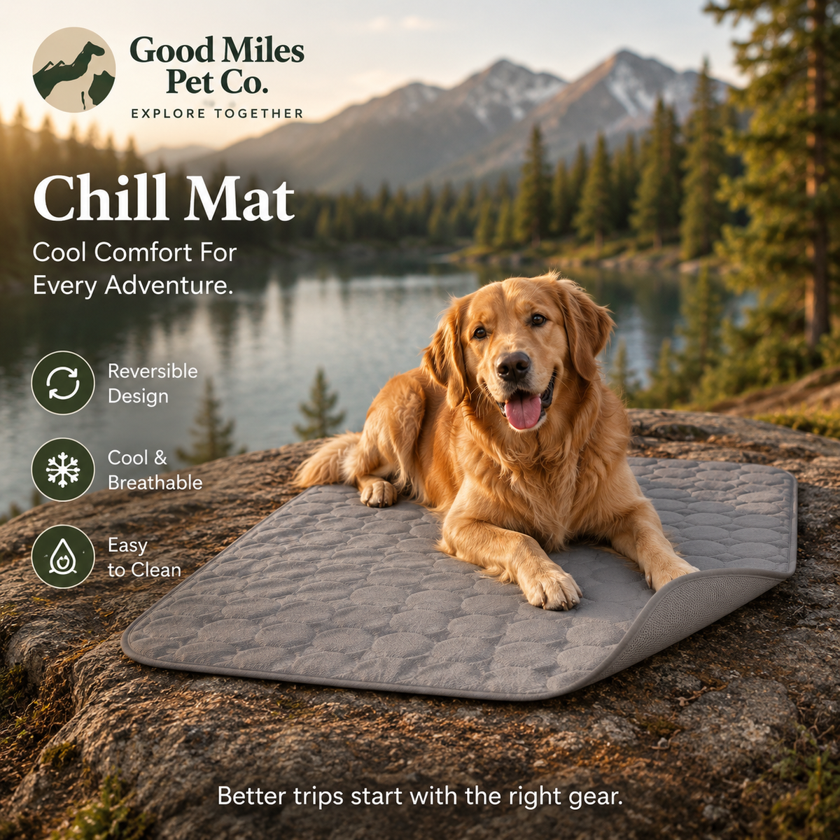 Reversible Pet Chill Mat